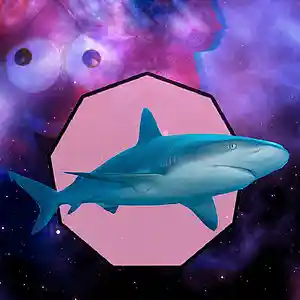 Picture for song 'The Nine Piece Nugget' by artist 'Desiradio'