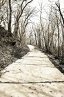 Picture for song 'HAPPY TRAILS' by artist 'Destiny lab'
