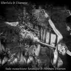 Picture for song '01 - Puis de l'ocean remonte dans les nuages-remix' by artist 'Diaenoxe'