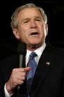Picture for song 'George Bush (Bushionics)' by artist 'Diego Music Creations'
