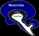 Picture for song 'Reptilian Brain Deluxe' by artist 'Diego Music Creations'