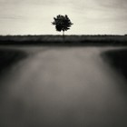 Picture for song 'Crossroads' by artist 'Diesel Production'