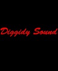 Picture for song 'Ironic Intro' by artist 'Diggidy Sound'