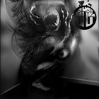 Picture for song 'Grave' by artist 'DJ Aksident'