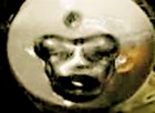 Picture for song 'CYMATIC STAND' by artist 'DJ LYF'