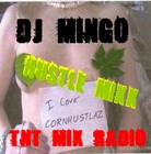 Picture for song 'STEADY ON THE GRIND' by artist 'DJ MINGO HUSTLE MIXX'