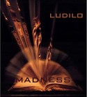 Picture for song 'Ludilo (Madness)' by artist 'Branko Stojanovski'