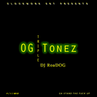 Picture for song '- Glitchn the Matrix -' by artist 'DJ RoaDOG'