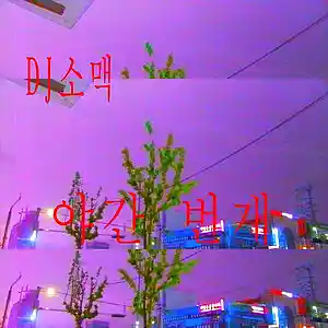 Picture for song 'Night Lightning - Purple' by artist 'DJ Somaek'