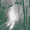 Picture for song 'Foggy Lost Wood' by artist 'DJ Yannix'