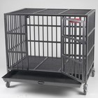 Picture for song '*NEW* OPENED THE CAGE | FREE DL' by artist 'Dmoneyhere'