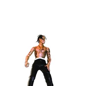 Picture for song 'SICKO' by artist 'doctor-drip'