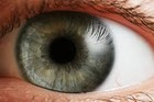 Picture for song 'Open Eyes' by artist 'Don Hetchka'