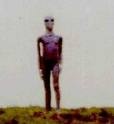 Picture for song 'Make Contact' by artist 'Dr Nimble'