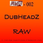 Picture for song 'DubHeadZ - RAW - Try again' by artist 'DubHeadZ'