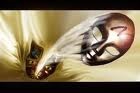 Picture for song 'madness' by artist 'Duke City Kings'