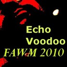 Picture for song 'He wanted more' by artist 'Echo Voodoo FAWM 2010'