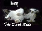 Picture for song '(Look on) The Darkside' by artist 'EDDIE MOONEY and the GRAVE (ft Mike Rowbottom)'