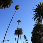 Picture for song 'Just Cruisin' (FREE DL)' by artist 'Effect Beats'