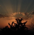 Picture for song 'You've cut me out' by artist 'Effekto'