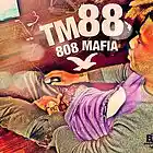 Picture for song 'Savage (TRAP)' by artist 'EKbeatz'