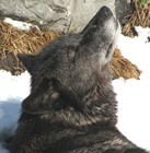 Picture for song 'Woke Up Feeling the Sun' by artist 'Emotional Driver'