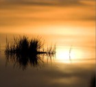 Picture for song 'Mirrored Tales' by artist 'Emotive Touch'