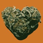 Picture for song 'Love Jam.mp3' by artist 'Enemee Spiritz'