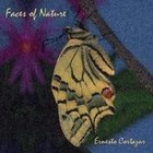 Picture for song 'To Become A Butterfly' by artist 'Ernesto Cortazar'