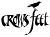 Picture for song 'Crow's Feet' by artist 'Eternal Elements'