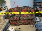 Picture for song 'Save The Upholstery' by artist 'Experiment 317'