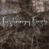 Picture for song 'Number Eleven Of Seven' by artist 'FESTERING FLESH'