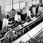 Picture for song 'My Last serenade Cover' by artist 'Final Assembly Line'