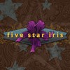 Picture for song 'Anyway' by artist 'Five Star Iris'