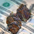 Picture for song '*BANGER*Economizing Greens' by artist 'Foorson'