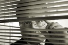 Picture for song 'Peekin' by artist 'Forest Street Productions'