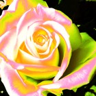 Picture for song 'Resignation' by artist 'FranklinEMorris'