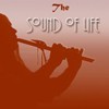 Picture for song 'Wubups' by artist 'Fretwell Flutes'