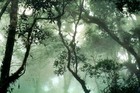 Picture for song 'Amazing Grace' by artist 'fruitloop'