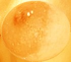 Picture for song 'HUMANITY IS CANCER' by artist 'FTFF'