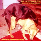 Picture for song 'The Coitus/Terrier Mash-up' by artist 'FTFF'