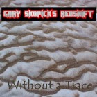 Picture for song 'ICESICLES' by artist 'Gary Skopick's Redshift'