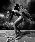 Picture for song 'Fallen Angel' by artist 'Gav Hobbs'