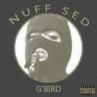 Picture for song 'Berserk Oh' by artist 'G'Bird028'