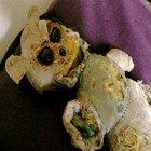 Picture for song 'Teddybare' by artist 'Gelatin Telephone'