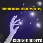 Picture for song 'Meaning Of Destiny' by artist 'Georgy Beats'