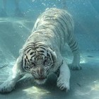 Picture for song 'Deep | More @ www.gfathersounds.com' by artist 'Gfather'