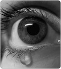 Picture for song 'My Tears Feat. Kasey' by artist 'G House Produktionz'