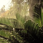 Picture for song 'Rainy Day' by artist 'Golden Day'
