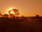 Picture for song 'African Dream Sunrise' by artist 'Graeme Cammack'